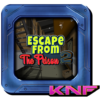 Can You Escape From Prison icon