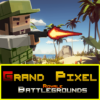 Grand Pixel Royale Battle 3D icon