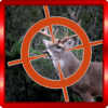 Deer Sniper 2014 icon