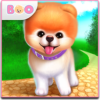 Boo The World's Cutest Dog icon