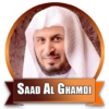 Saad Al Ghamidi Qur'an Mp3 icon