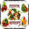 Essential Nutrients icon