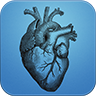 Auscultation Cardiaque icon