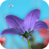 Flowers Video Wallpaper For Lock Screen icon