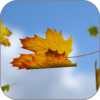 Falling Leaves Live Wallpaper icon