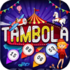 Tambola Housie 90 Big Balls Bingo icon