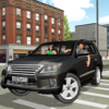 Auto Simulator LX City Driving icon