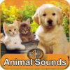 Animal Sounds (sounds and pictures) icon