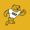 CSP Bears icon