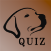 Dogs Breed Quiz Guess the Dogs Breeds icon