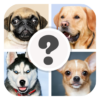 Which Dog Breed Are You? icon