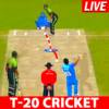 World T20 Cricket Match Game icon