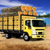 Offroad Cargo Truck Driver icon