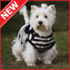 Dress Up Dogs Dog Clothes Patterns Ideas icon