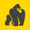 RaceGorilla Competition icon