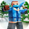 Survival 3D Winter Block icon