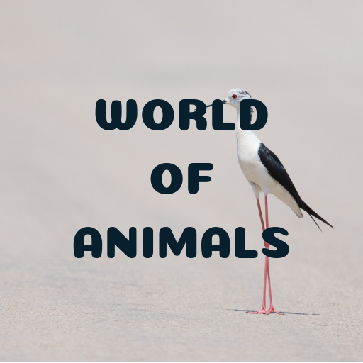 World of Animals icon