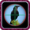 City Crow Hunting 3D icon