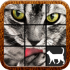 Cat Slide Puzzle icon