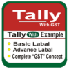 Tally Erp.9 Full Course In Hindi || Tally With GST icon