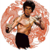 Martial Arts Advanced Techni icon