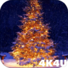 4K Christmas Tree Live Wallpaper icon