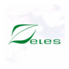 Zeles VMS icon