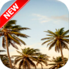 Palm Tree Wallpapers icon