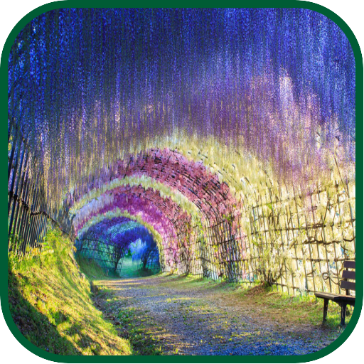 Tree Tunnel WPs icon