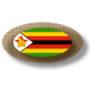 Zimbabwe apps icon