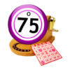 Bingo 75 icon