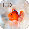 Tropical Fish Live Wallpaper icon