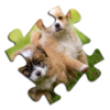 Puzzle Rompecabezas Dogs (Offline) icon