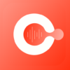 Georgian Radio Live FM Player icon