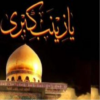 Hazrat Zainab(a.s)Quiz icon