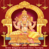 Maa Baglamukhi Chalisa & Stuti icon