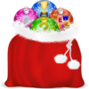 Xmas Bag icon