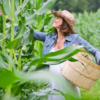 Organic Gardener icon