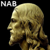 N.A.Bible icon