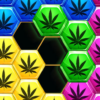 Hexa Block Puzzle Hexagon Weed Game icon