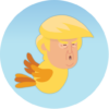 The Flappy Trump icon