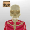 Anatomy VR icon