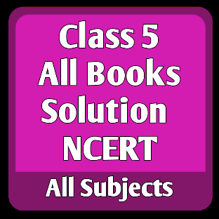 class 5 solution icon