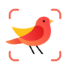 Picture Bird Bird Identifier icon