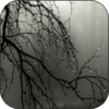 Gothic Rain Live Wallpaper icon