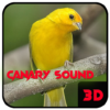 Canary 3D Sound Master icon