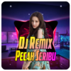 Dj Pecah Seribu Remix 2022 icon