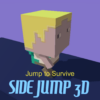 Side Jump 3D icon