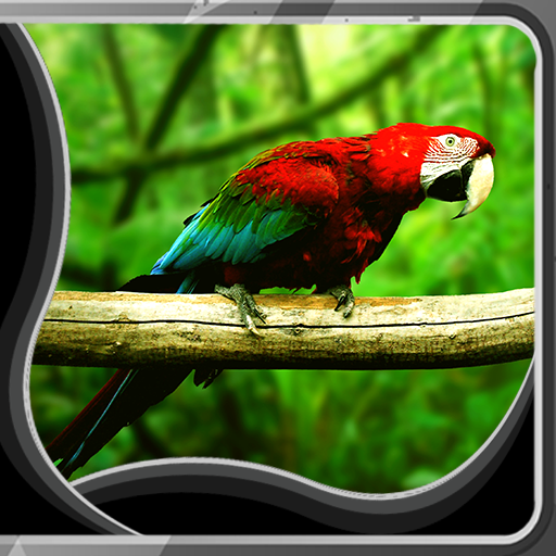 Parrot Live Wallpapers icon