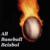 All Baseball beisbol icon